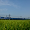 今年引退した北斗星！