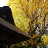 秋の玉敷神社