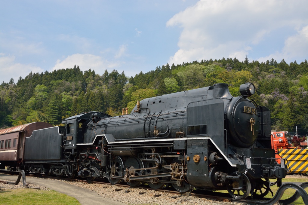 D5196