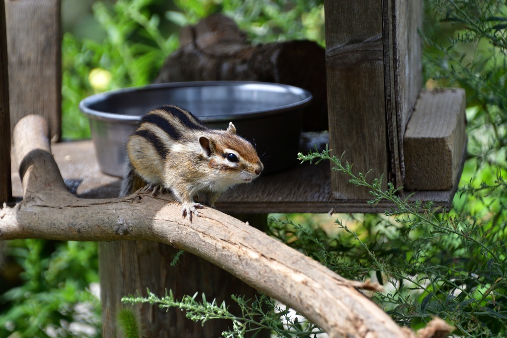 様子を伺う２