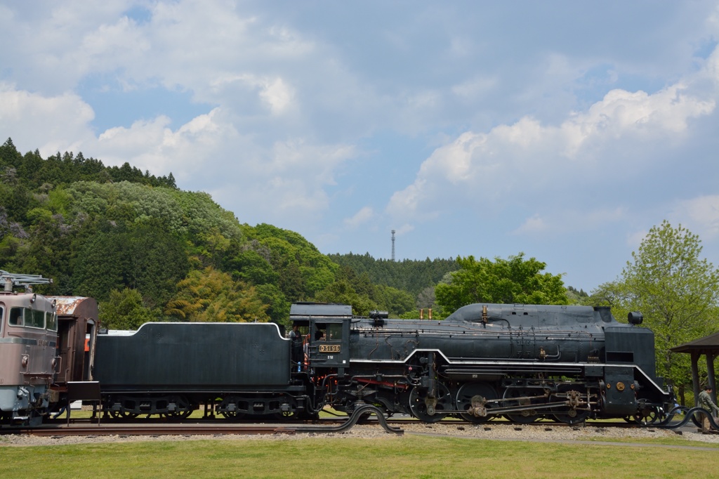 D5196