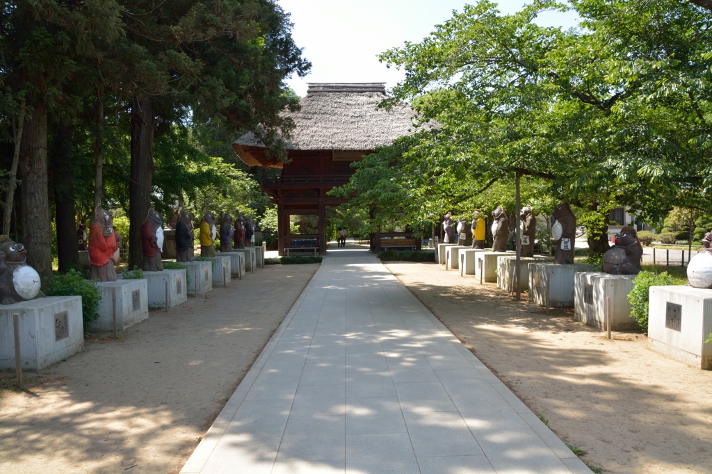 茂林寺の狸