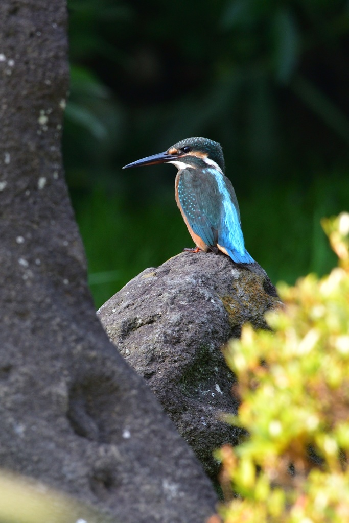 石の向こうで。