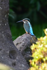 石の向こうで。