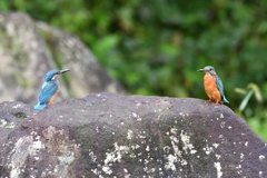 微妙な距離感。