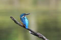 夏を振り返る。