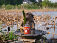 黒浜沼の守り神？