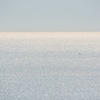 海
