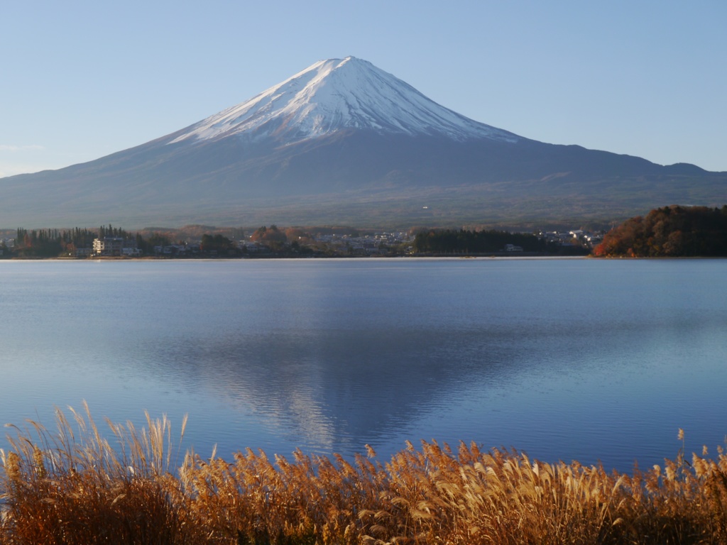 すすきと富士山