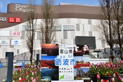 砺波市からの贈り物。