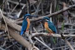 家族になった二人。