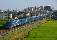 今年引退した北斗星！