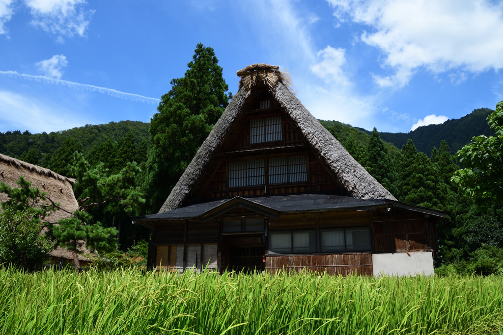 相倉合掌造りの家