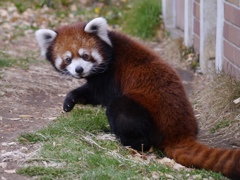 東武動物公園にて！