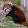 東武動物公園にて！
