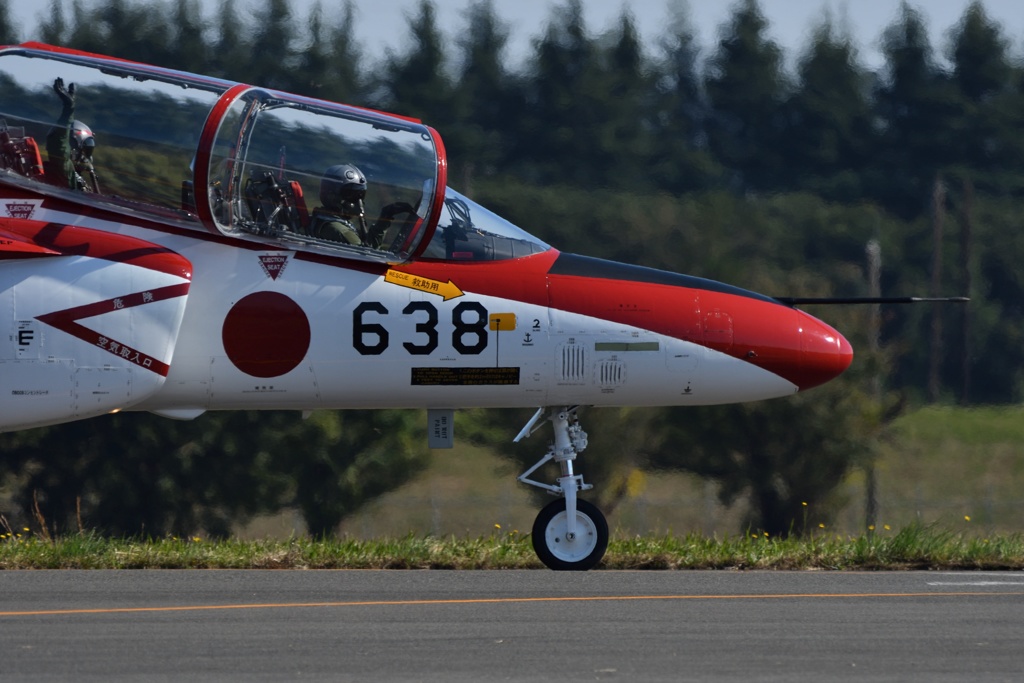 レッドドルフィン３