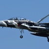 アグレッサーの帰投。
