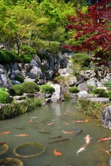 宝徳寺の風景１