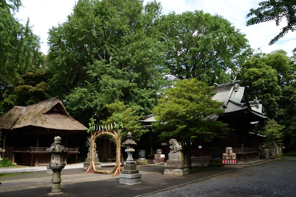 玉敷神社の茅の輪