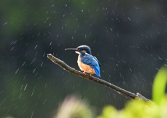 水飛ばし後。