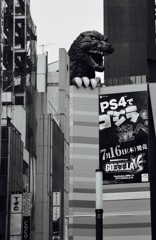 新宿ゴジラ