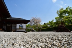 宝徳寺の風景２