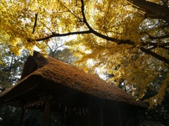 秋の玉敷神社