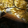 秋の玉敷神社