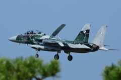 アグレッサー083号機の帰投！