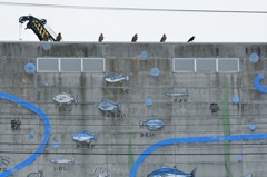 鳶率の高い港