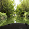 Japan Green