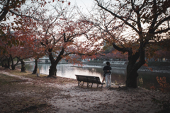 秋の日の広島