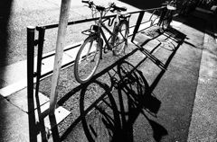 201511 東京 散歩