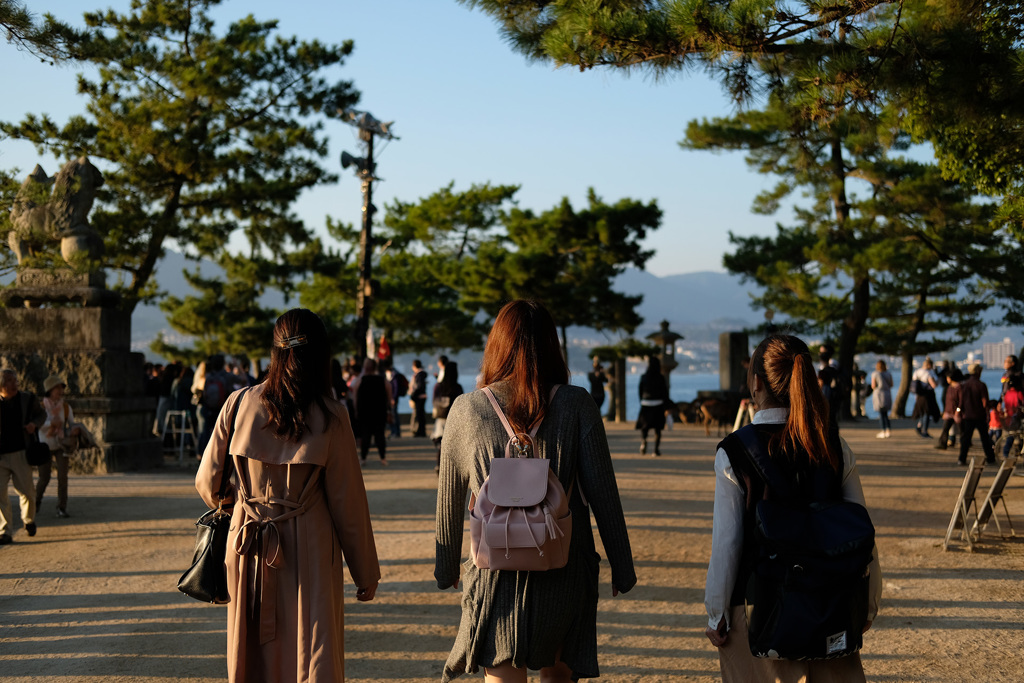 20171027 宮島 4356