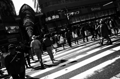 201604 本通り