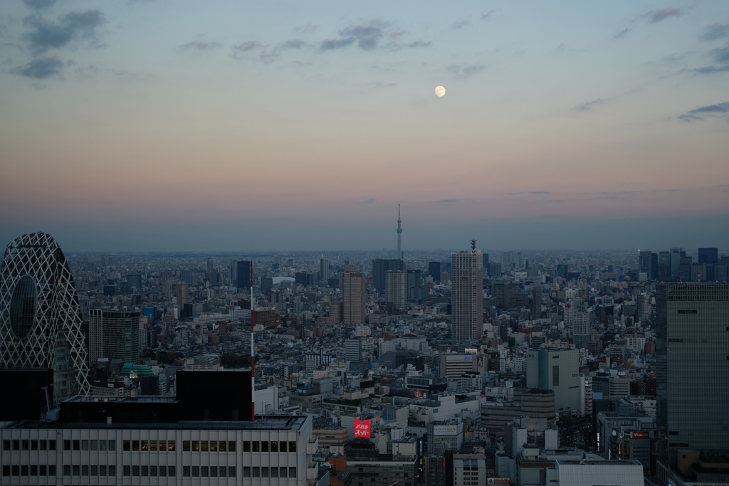 20171202 東京都庁
