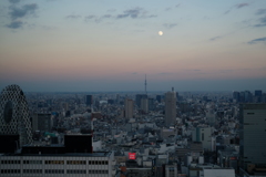 20171202 東京都庁