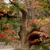 市川市動植物園