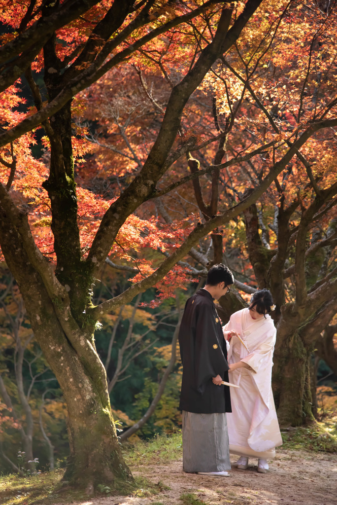 雷山の紅葉　8