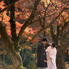 雷山の紅葉　8