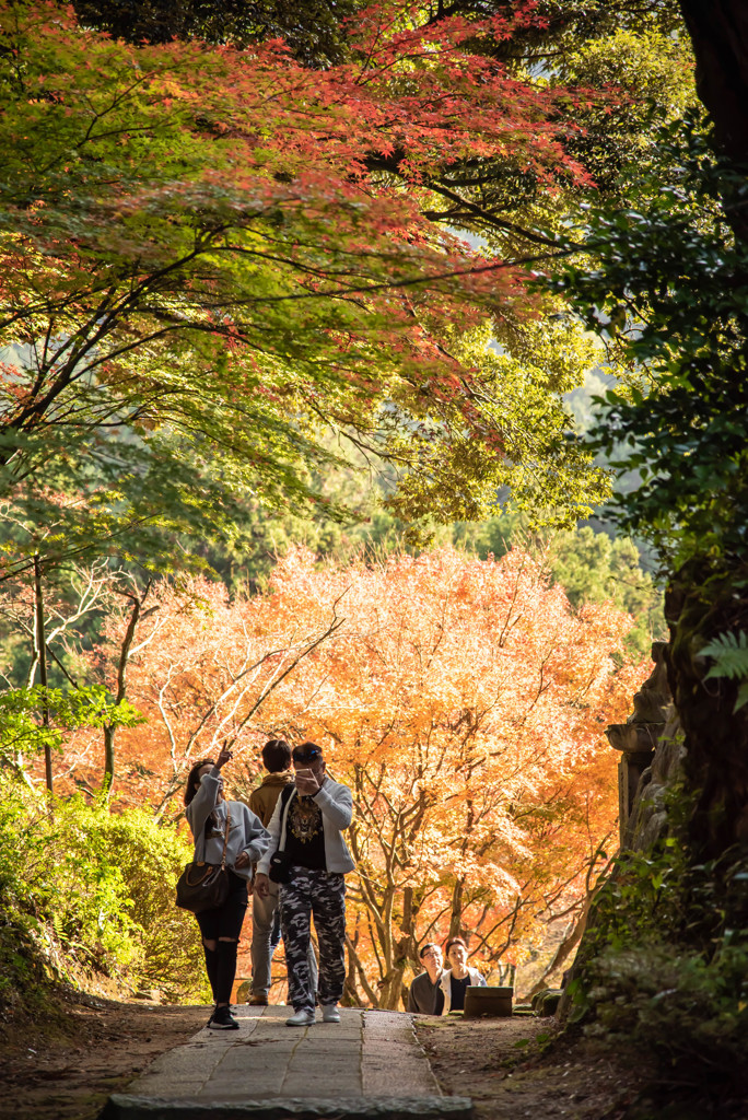 雷山の紅葉　2