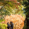 雷山の紅葉　2