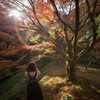 雷山の紅葉　4