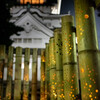 竹灯り5