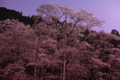 5395D8A6-DFEF-4C13-8C6B-C20458CEDE70