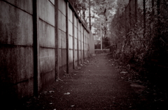 路地