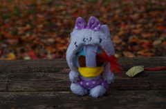 IMGP0370