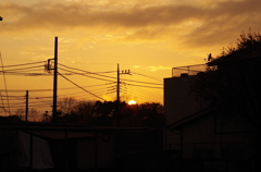 夕焼け