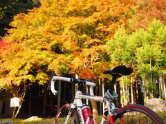 古知谷阿弥陀寺