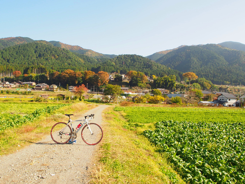 大原